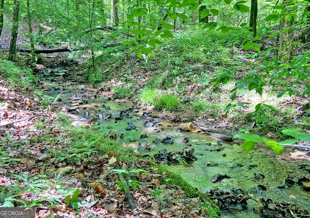 Photo 13 of Land for sale at 407ac Falling Pines Rd, Dahlonega, GA 30533 | MLS# 10837310 | Listing updated on 2026-09-06