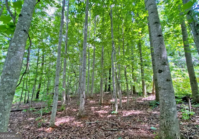 Photo 1 of Land for sale at 407ac Falling Pines Rd, Dahlonega, GA 30533 | MLS# 10837310 | Listing updated on 2026-09-06