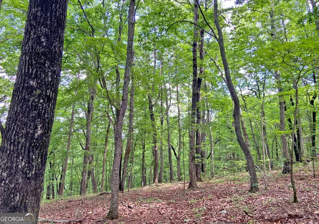 Photo 2 of Land for sale at 407ac Falling Pines Rd, Dahlonega, GA 30533 | MLS# 10837310 | Listing updated on 2026-09-06