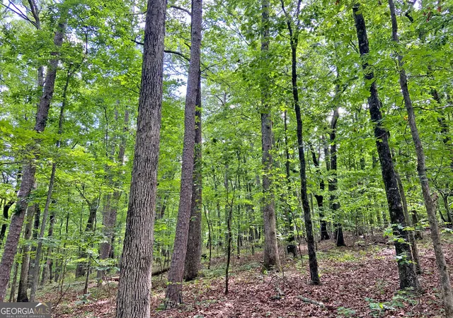 Photo 3 of Land for sale at 407ac Falling Pines Rd, Dahlonega, GA 30533 | MLS# 10837310 | Listing updated on 2026-09-23