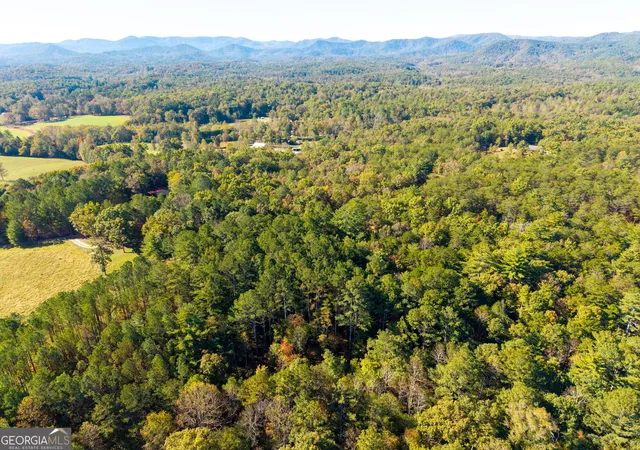 Photo 4 of Land for sale at 0 Mobile, Mccaysville, GA 30555 | MLS# 10879829 | Listing updated on 2026-10-27