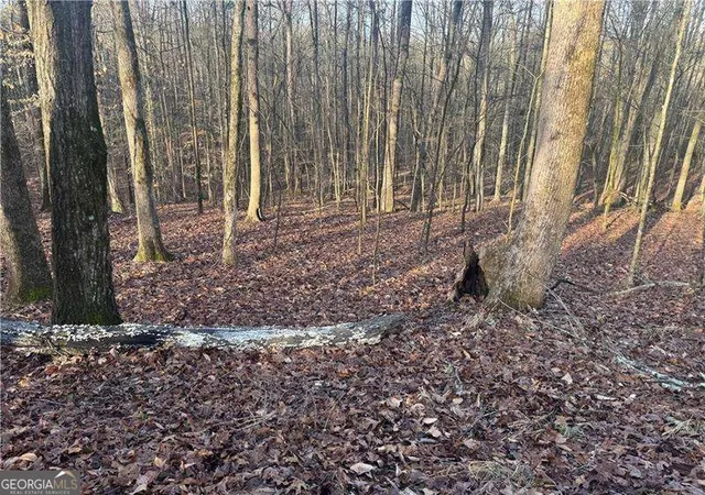 Photo 1 of Land for sale at 0 Indian Crk Trl, Madison, GA 30650 | MLS# 10871152 | Listing updated on 2026-10-26