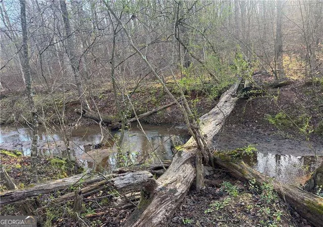 Photo 4 of Land for sale at 0 Indian Crk Trl, Madison, GA 30650 | MLS# 10871152 | Listing updated on 2026-10-26