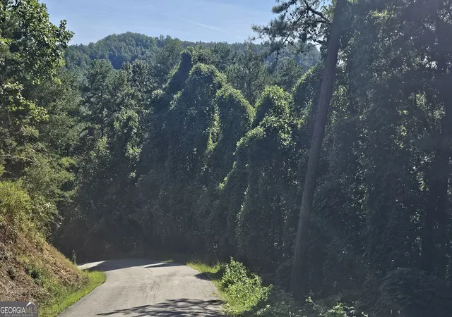 Photo 1 of Land for sale at 0 Heavenly Cir #19, Clayton, GA 30525 | MLS# 10830777 | Listing updated on 2026-09-12