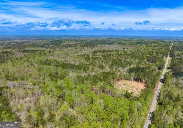Photo 4 of Land for sale at 5655 Cascade Palmetto Hwy, Fairburn, GA 30213 | MLS# 10851773 | Listing updated on 2026-09-23