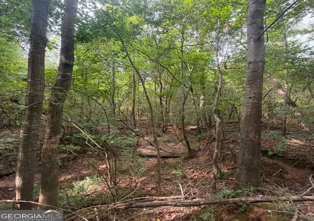 Photo 2 of Land for sale at 822 Tabby Ln, Athens, GA 30605 | MLS# 10849386 | Listing updated on 2026-10-03