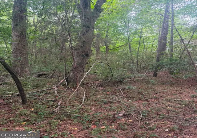 Photo 3 of Land for sale at 822 Tabby Ln, Athens, GA 30605 | MLS# 10849386 | Listing updated on 2026-10-03