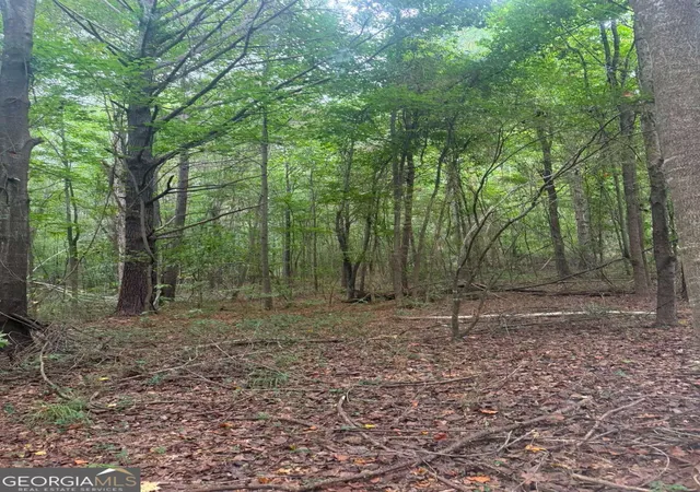 Photo 3 of Land for sale at 822 Tabby Ln, Athens, GA 30605 | MLS# 10849386 | Listing updated on 2026-10-03
