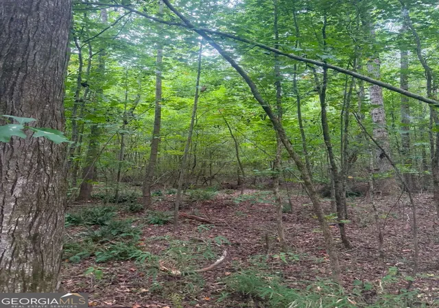 Photo 4 of Land for sale at 822 Tabby Ln, Athens, GA 30605 | MLS# 10849386 | Listing updated on 2026-10-03