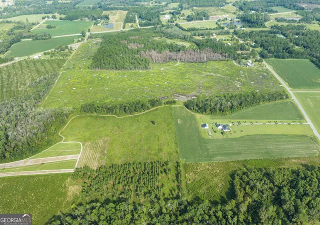Photo 3 of Land for sale at 000 Sellers Rd, Baxley, GA 31513 | MLS# 10847065 | Listing updated on 2026-09-30
