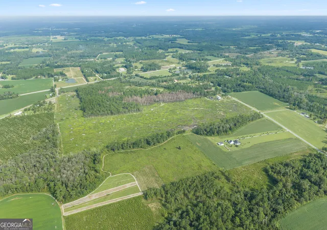 Photo 4 of Land for sale at 000 Sellers Rd, Baxley, GA 31513 | MLS# 10847065 | Listing updated on 2026-09-30