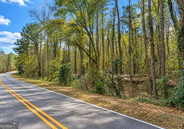 Photo 4 of Land for sale at 104 Acres Willow Lake Rd, Fort Valley, GA 31030 | MLS# 10841144 | Listing updated on 2026-09-08