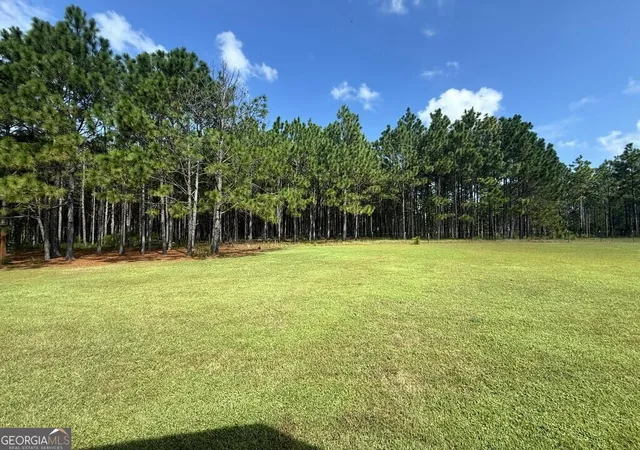 Photo 49 of Single family home for sale at 907 Lower Rebecca Rd, Fitzgerald, GA 31750 | MLS# 10850393 | Listing updated on 2026-10-05