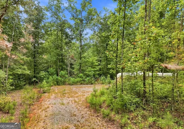 Photo 2 of Land for sale at 2040 Pleasant Union Rd, Canton, GA 30114 | MLS# 10841258 | Listing updated on 2026-09-21