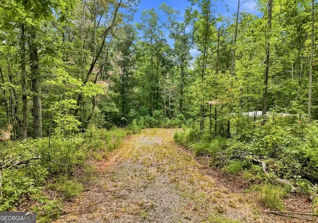 Photo 4 of House for sale at 2040 Pleasant Union Rd, Canton, GA 30114 | MLS# 10841258 | Listing updated on 2026-09-21