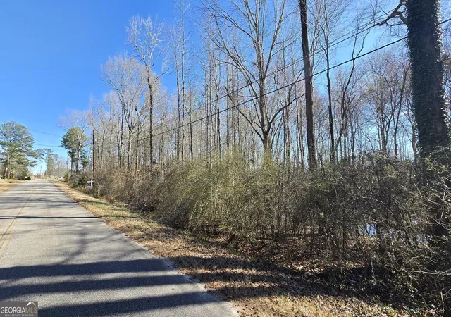 Photo 1 of Land for sale at 1110 Spring Crk Cir, Griffin, GA 30223 | MLS# 10847359 | Listing updated on 2026-09-30