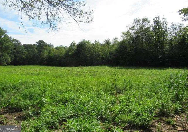 Photo 2 of Land for sale at 101 Winding Rd #LOT 1A & 1B & LOT 2, Bowdon, GA 30108 | MLS# 10490605 | Listing updated on 2026-09-05