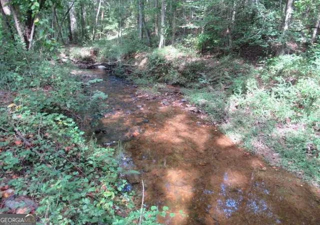Photo 3 of Land for sale at 101 Winding Rd #LOT 1A & 1B & LOT 2, Bowdon, GA 30108 | MLS# 10490605 | Listing updated on 2026-09-05