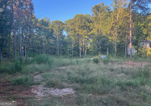 Photo 1 of Land for sale at 172 A Little River Trl, Eatonton, GA 31024 | MLS# 10840490 | Listing updated on 2026-09-18