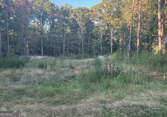 Photo 4 of Land for sale at 172 A Little River Trl, Eatonton, GA 31024 | MLS# 10840490 | Listing updated on 2026-09-18