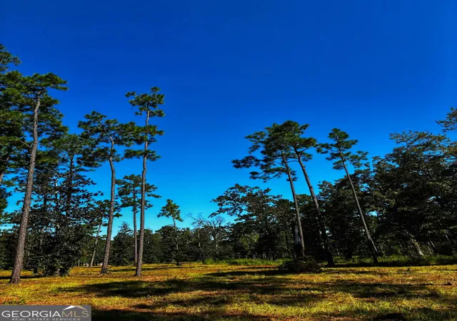 Photo 3 of House for sale at 490 Murray Rd, Bainbridge, GA 39819 | MLS# 10849956 | Listing updated on 2026-09-23