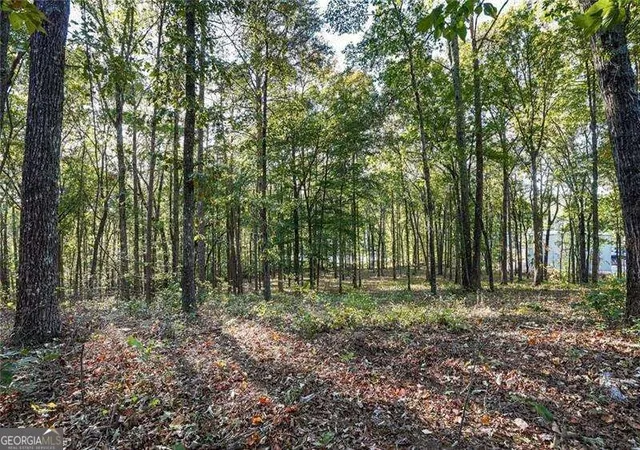 Photo 2 of Land for sale at 750 Chattin Dr, Canton, GA 30115 | MLS# 10879205 | Listing updated on 2026-10-27