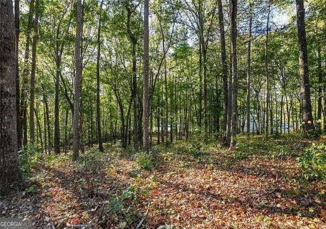 Photo 3 of Land for sale at 750 Chattin Dr, Canton, GA 30115 | MLS# 10879205 | Listing updated on 2026-10-27