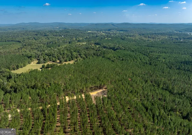 Photo 3 of Land for sale at 0 Livingston Rd Sw, Rome, GA 30161 | MLS# 10722324 | Listing updated on 2026-09-10