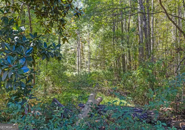 Photo 4 of Land for sale at 0 Charles St, Union City, GA 30291 | MLS# 10877240 | Listing updated on 2026-10-26