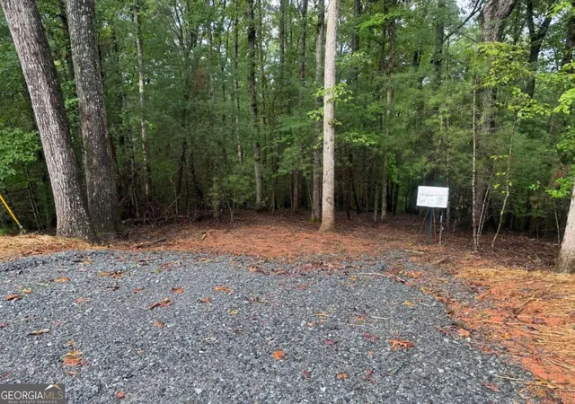 Land for sale at 204 Hart Ct, Ellijay, GA 30540 | MLS# 10852315