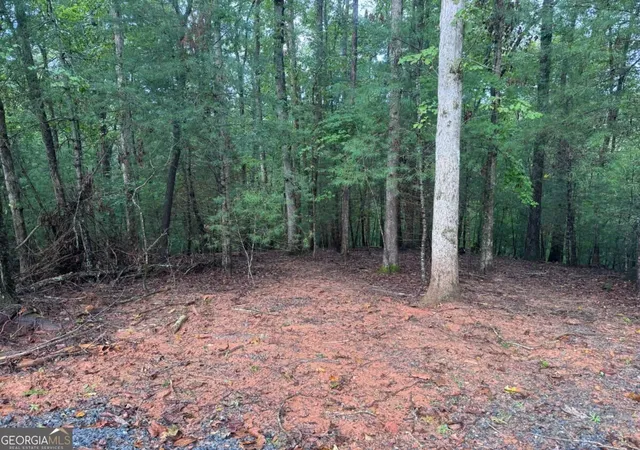 Photo 2 of Land for sale at 204 Hart Ct, Ellijay, GA 30540 | MLS# 10852315 | Listing updated on 2026-10-08