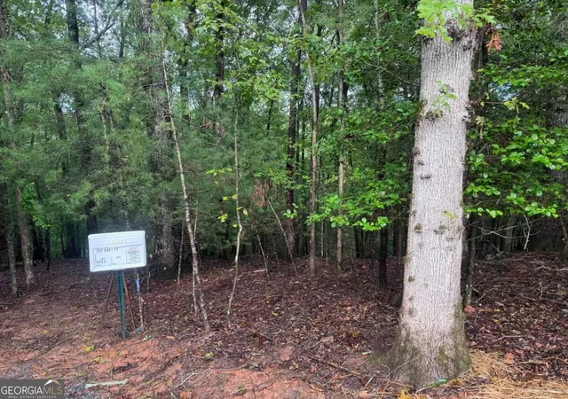 Photo 3 of Land for sale at 204 Hart Ct, Ellijay, GA 30540 | MLS# 10852315 | Listing updated on 2026-10-08