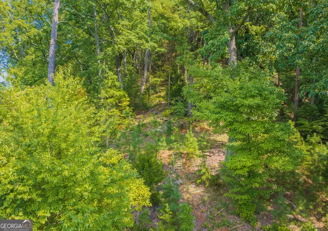 Photo 3 of Land for sale at 104 Hopewell Dr, Ranger, GA 30734 | MLS# 10852635 | Listing updated on 2026-10-08