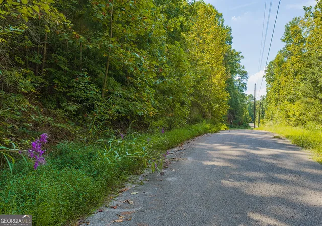 Photo 4 of Land for sale at 104 Hopewell Dr, Ranger, GA 30734 | MLS# 10852635 | Listing updated on 2026-10-08