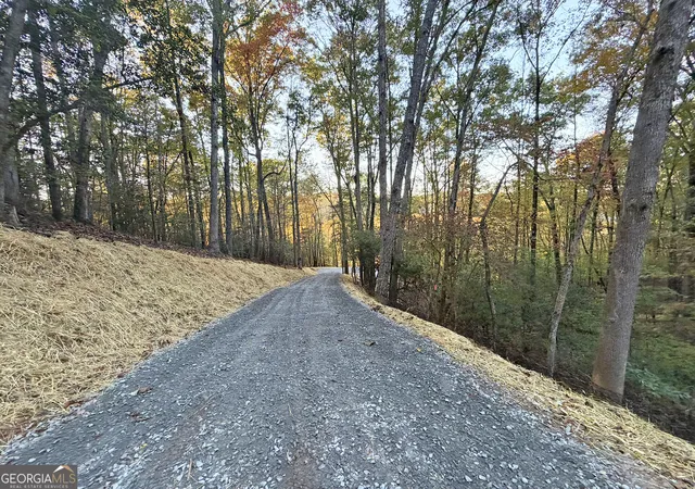Photo 1 of Land for sale at 13d Rainey Valley Ln, Morganton, GA 30560 | MLS# 10877849 | Listing updated on 2026-10-30