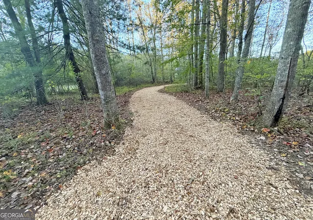 Photo 2 of Land for sale at 13d Rainey Valley Ln, Morganton, GA 30560 | MLS# 10877849 | Listing updated on 2026-10-30