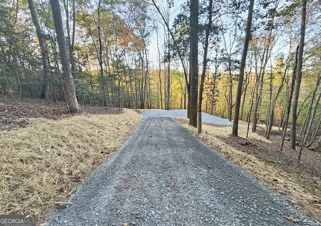 Photo 4 of Land for sale at 13d Rainey Valley Ln, Morganton, GA 30560 | MLS# 10877849 | Listing updated on 2026-10-30