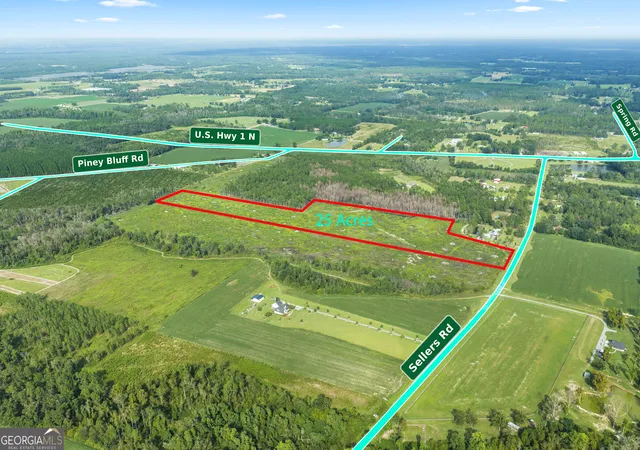 Land for sale at 880 Sellers Rd, Baxley, GA 31513 | MLS# 10846976
