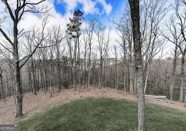 Photo 2 of Land for sale at 0 Weeks Dr, Ellijay, GA 30540 | MLS# 10879635 | Listing updated on 2026-10-30