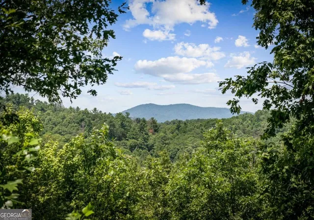 Photo 3 of Single family home for sale at 383 River Escape Dr, Ellijay, GA 30540 | MLS# 10839390 | Listing updated on 2026-10-03