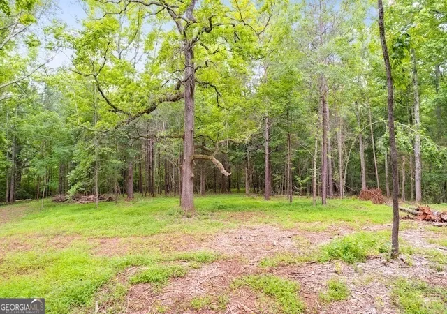 Photo 3 of Land for sale at 0 Handy Rd (752 Ac) #(7.52 AC), Newnan, GA 30263 | MLS# 10664122 | Listing updated on 2026-10-08