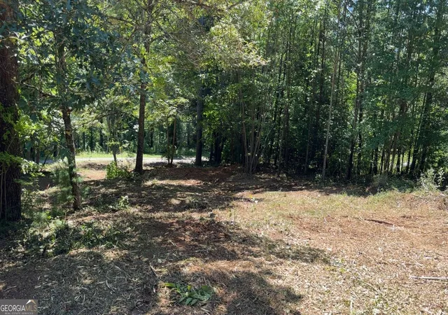 Photo 16 of Land for sale at 1565 Davis Rd, Hiawassee, GA 30546 | MLS# 10840518 | Listing updated on 2026-09-04