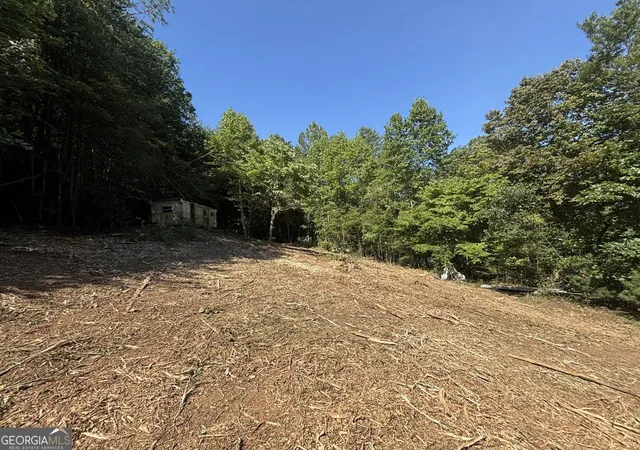 Photo 1 of Land for sale at 1565 Davis Rd, Hiawassee, GA 30546 | MLS# 10840518 | Listing updated on 2026-09-04