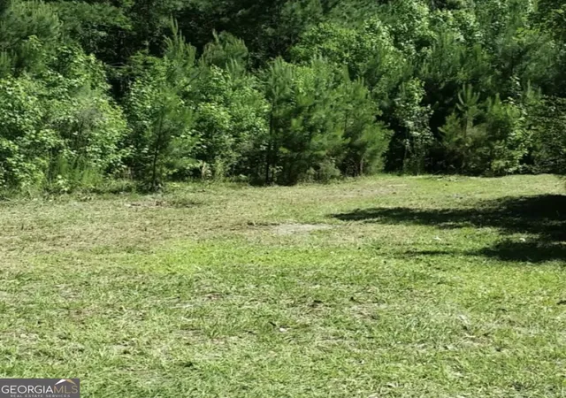 Photo 1 of Land for sale at 221 Turtle Dr, Richmond Hill, GA 31324 | MLS# 10836422 | Listing updated on 2026-09-24