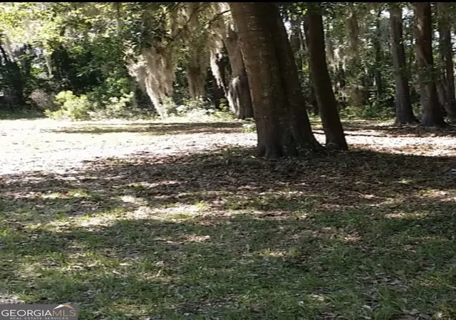 Photo 2 of Land for sale at 221 Turtle Dr, Richmond Hill, GA 31324 | MLS# 10836422 | Listing updated on 2026-09-24