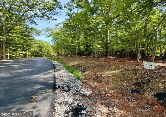 Photo 2 of Land for sale at Lot 25 Prospect Ridge, Blue Ridge, GA 30513 | MLS# 10848541 | Listing updated on 2026-09-18