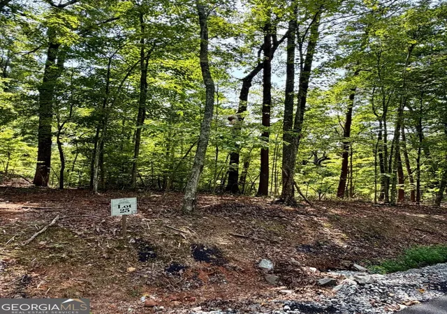Photo 3 of Land for sale at Lot 25 Prospect Ridge, Blue Ridge, GA 30513 | MLS# 10848541 | Listing updated on 2026-09-18