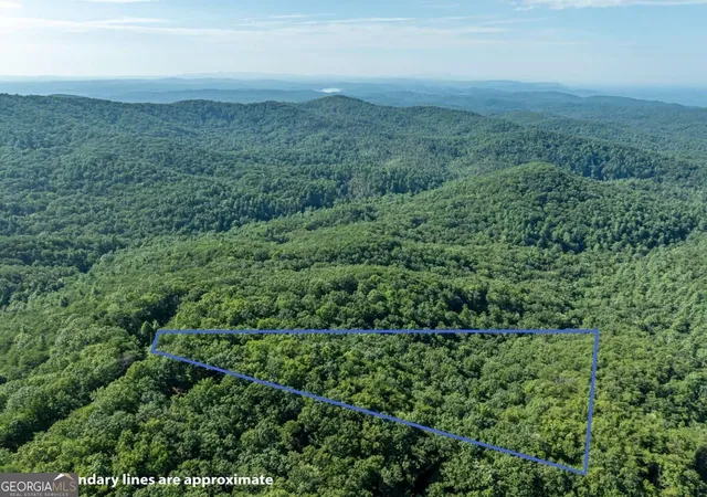 Photo 4 of Land for sale at Lot 9 Brushy Top Dr, Chatsworth, GA 30705 | MLS# 10846339 | Listing updated on 2026-10-29