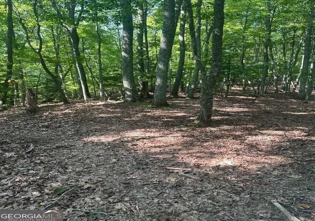 Photo 2 of Land for sale at 0 Brooks Ridge Rd, Mineral Bluff, GA 30559 | MLS# 10850415 | Listing updated on 2026-10-05