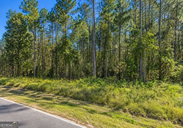 Photo 3 of Land for sale at 6340 County Rd 315 C, Keystone Heights, FL 32656 | MLS# 10841125 | Listing updated on 2026-09-20